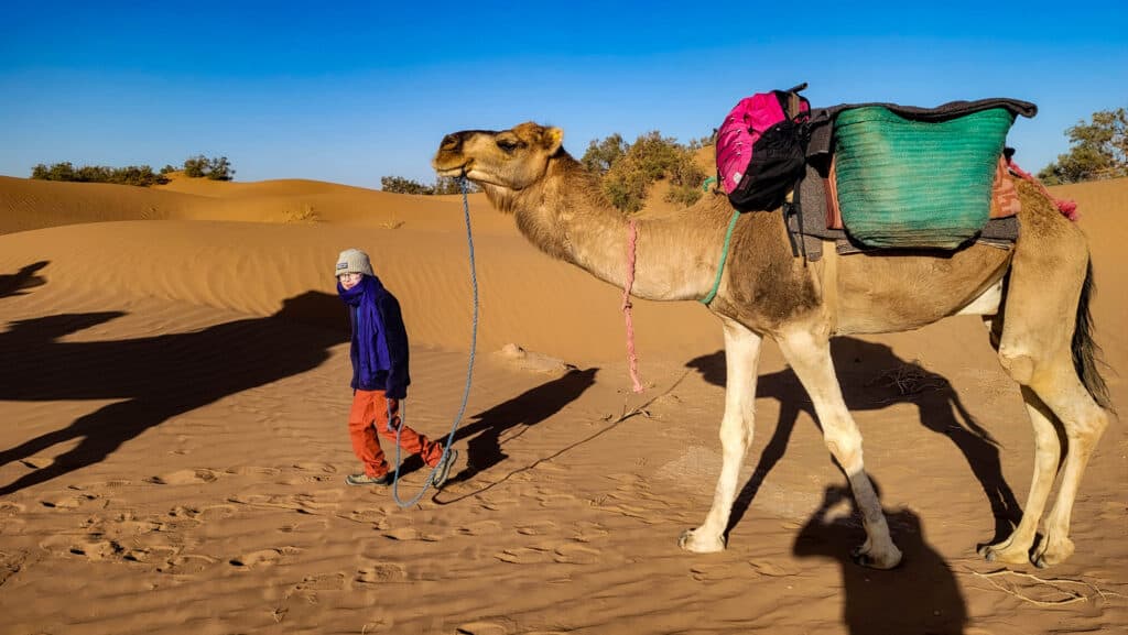 Escursioni a dorso di dromedario nel deserto