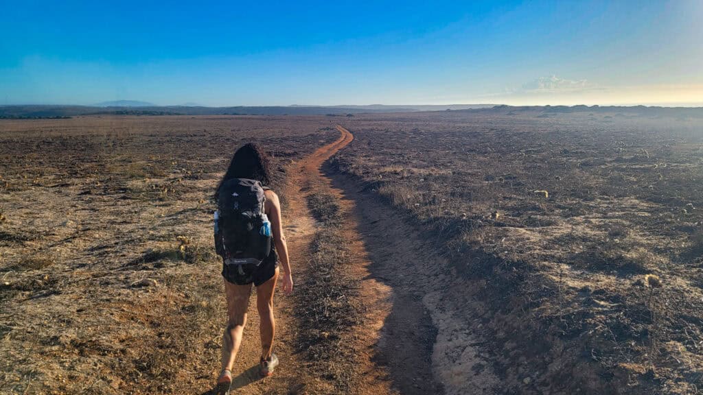 regali/idee regalo sotto i 20€