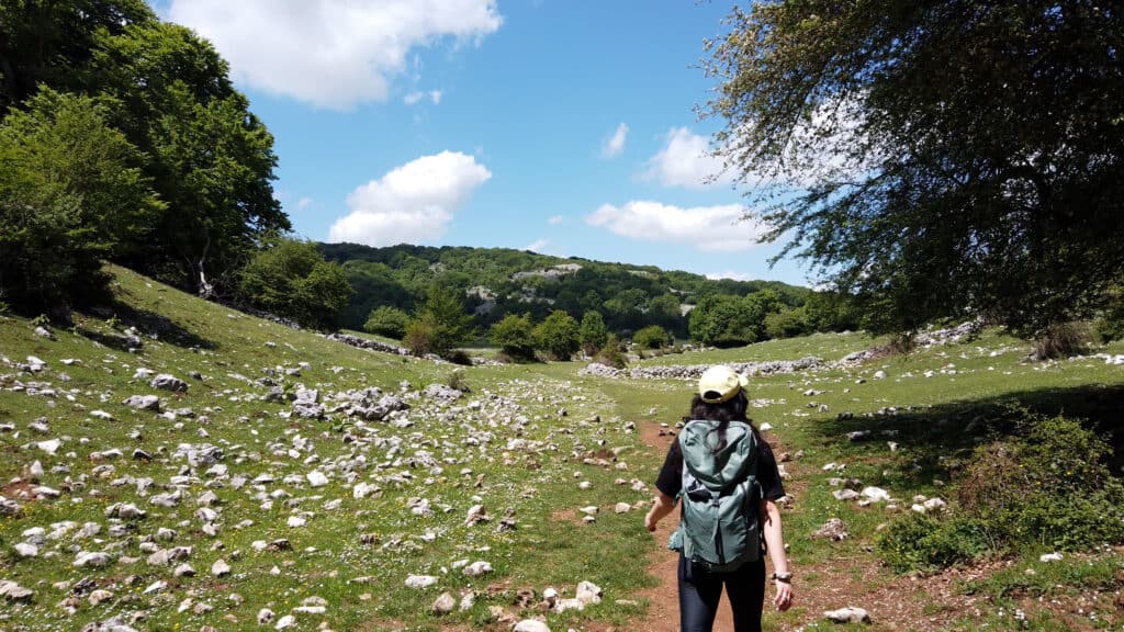paesaggio monte pratone con alberi, pietre e una ragazza in cammino