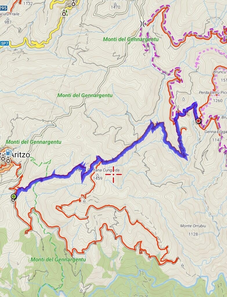 Guida completa al GTG - La Gran Traversata del Gennargentu in Sardegna 4 GTG Tappa 1 Gran Traversata del Gennargentu