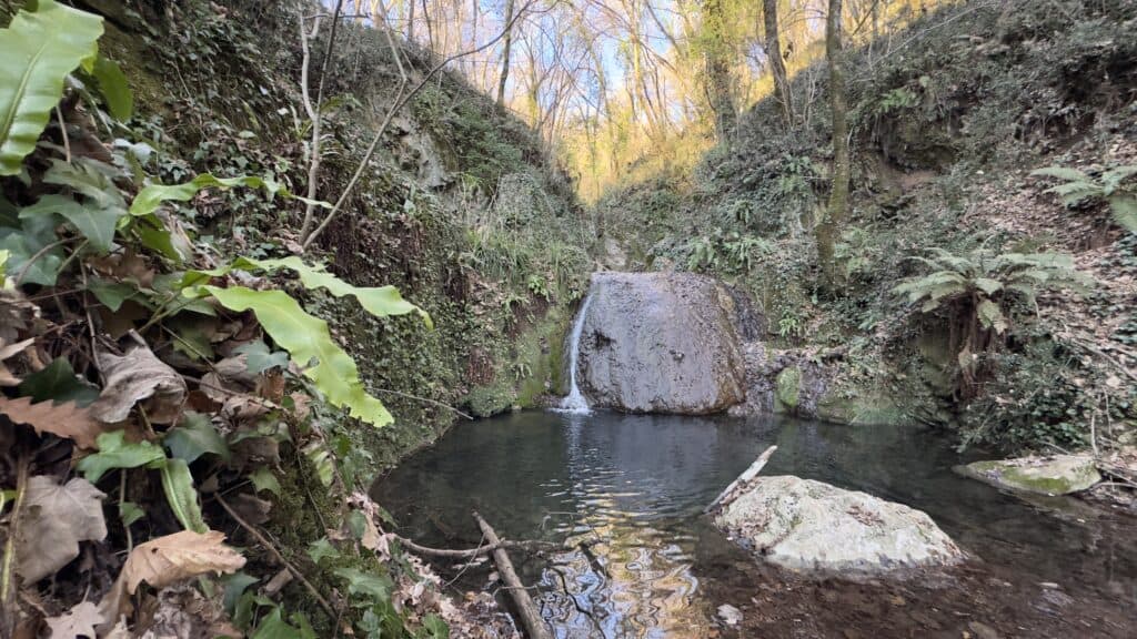 Escursione valle delle Cannuccete 2 Cannuccete - escursione Castel San Pietro Romano