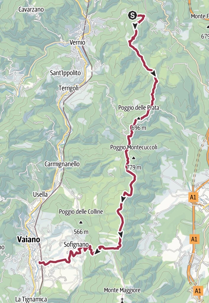 VLS con Nico Tappa 5