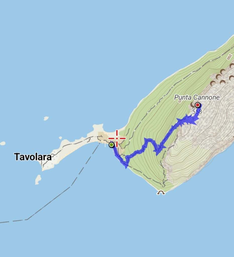 isola tavolara mappa